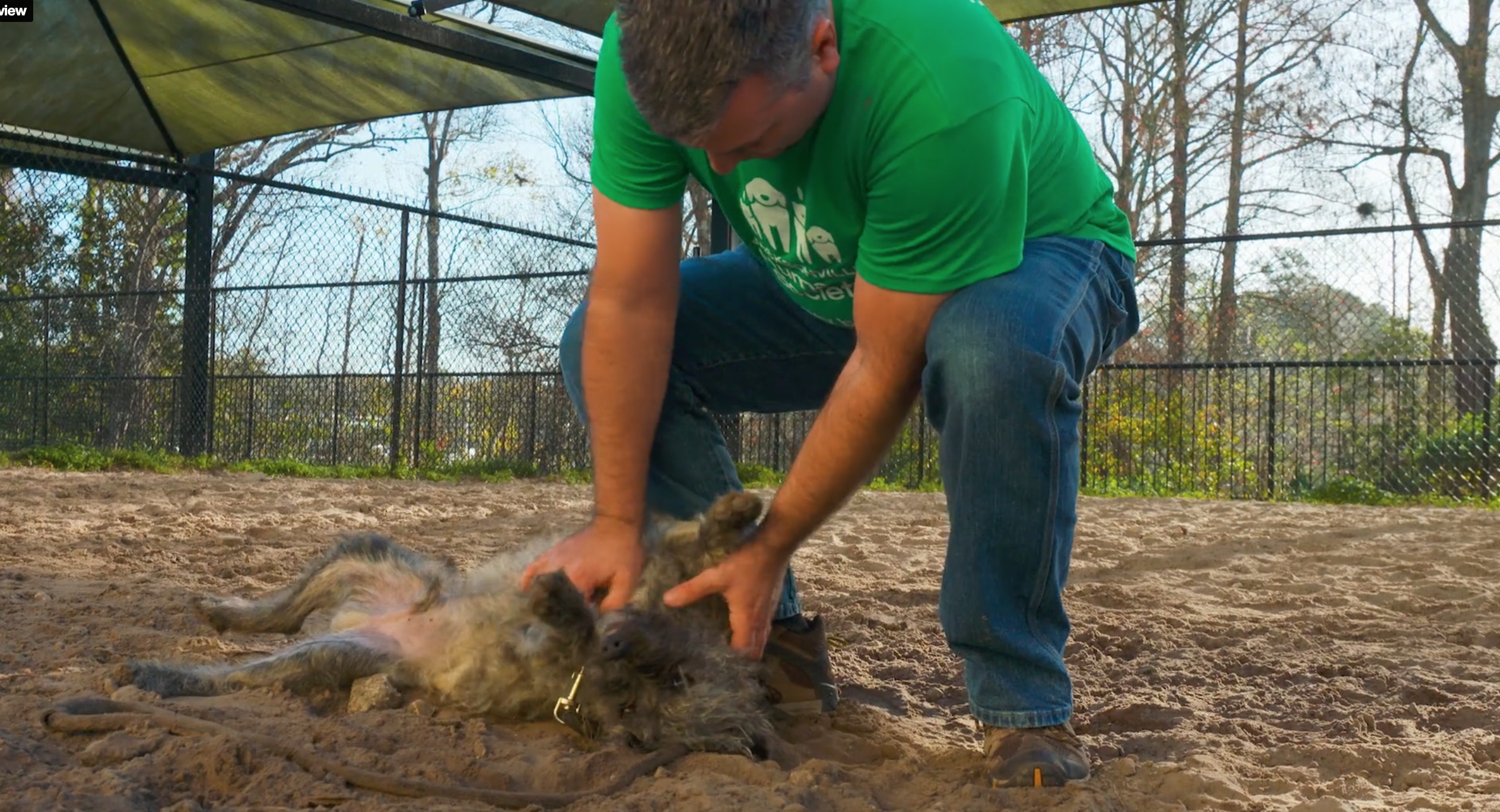 Humane Society Overview - gallery image 1