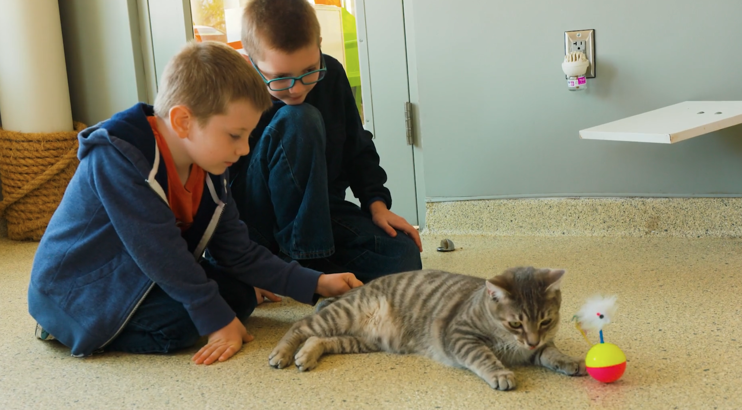 Humane Society Overview - gallery image 2