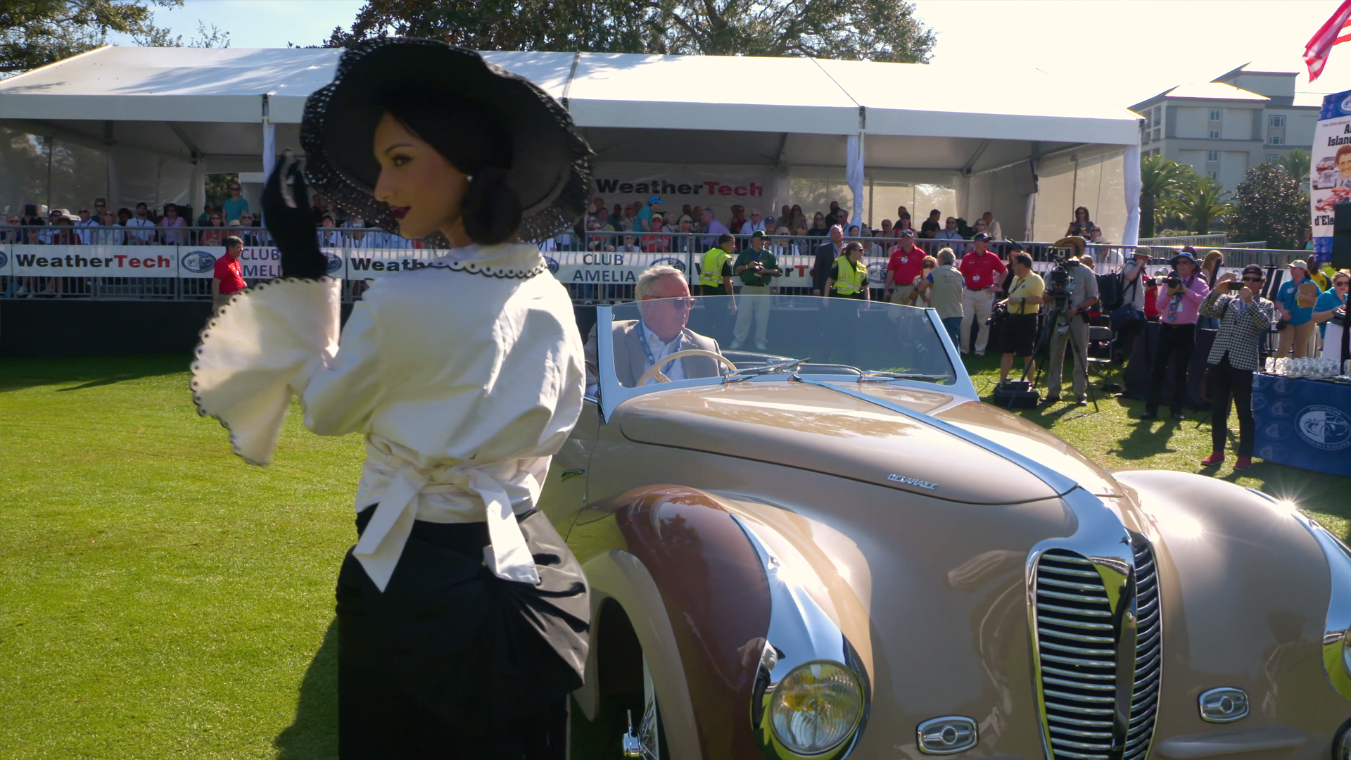 Winning Amelia - gallery image 6