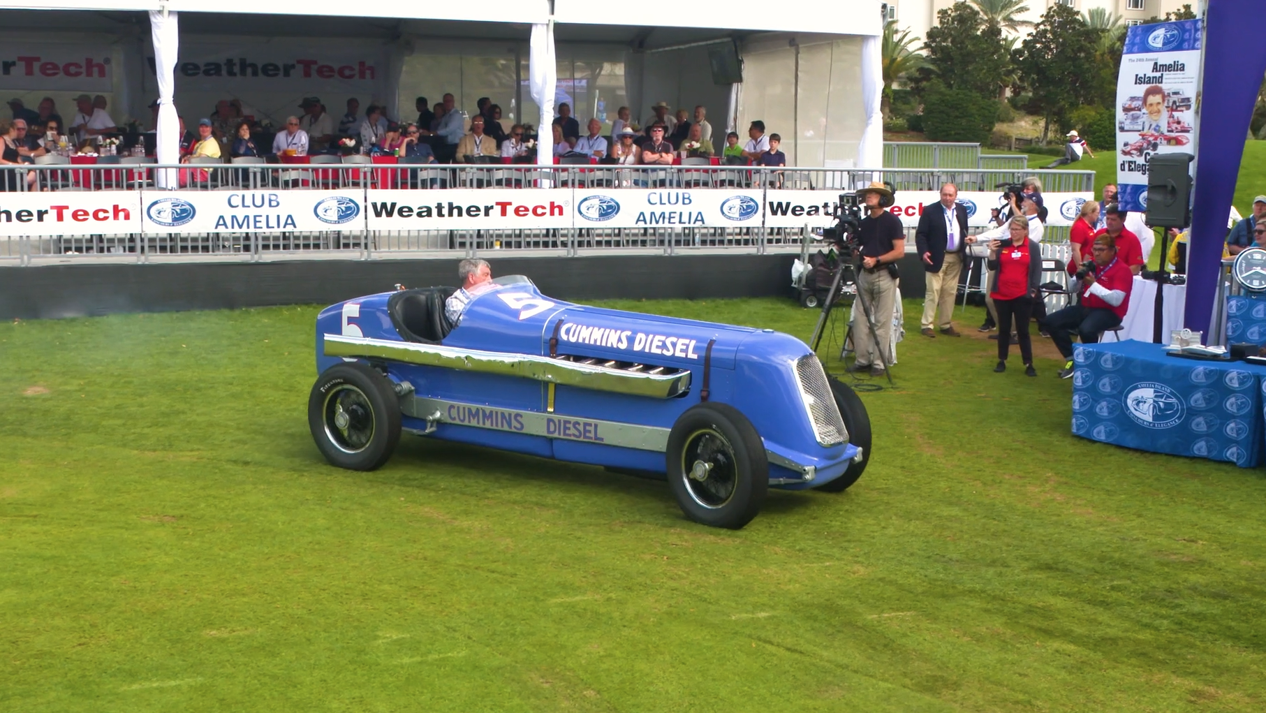 Winning Amelia - gallery image 4