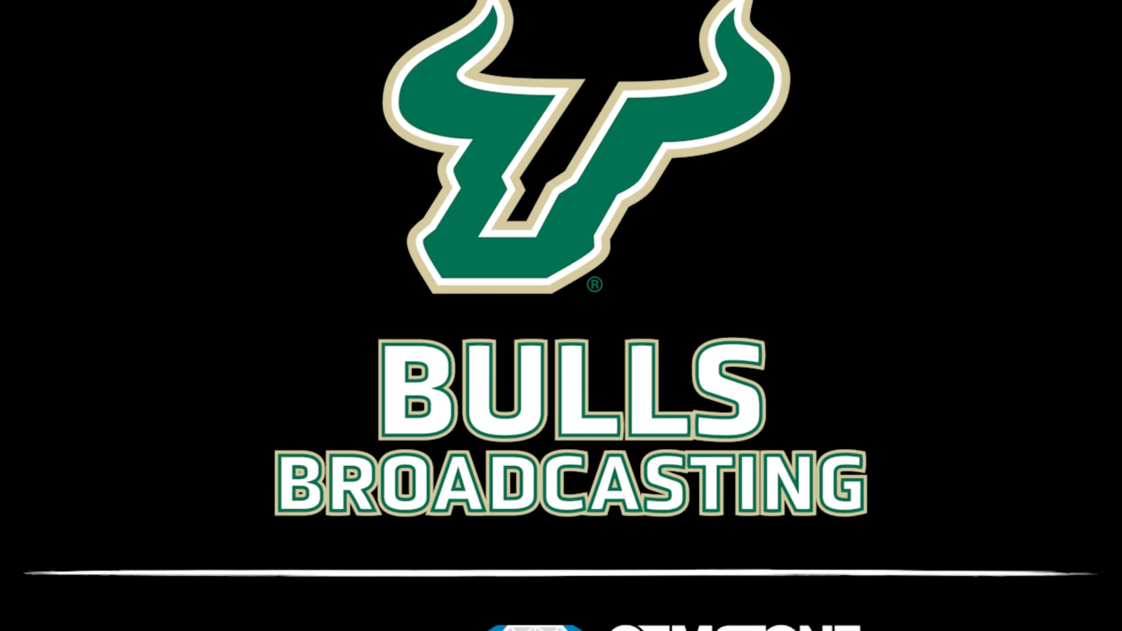 Bulls Broadcasting