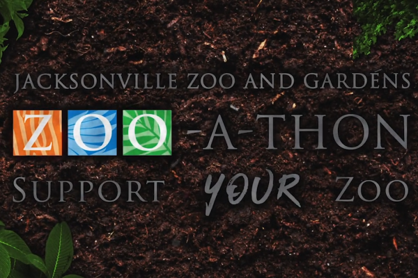 Zoo-A-Thon
